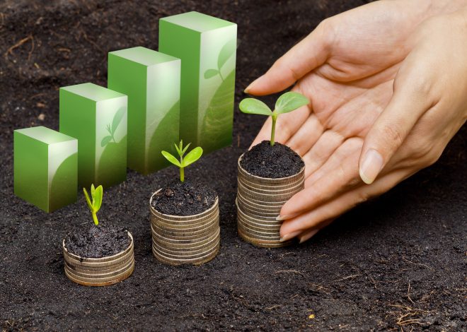 Agricultural Finance