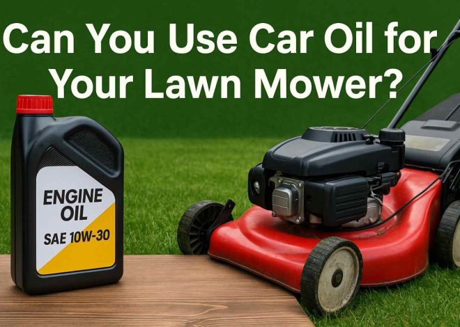 Can You Really Use Car Oil in Your Lawn Mower The Truth Revealed