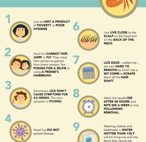 Effective Home Remedies for Lice Treatment
