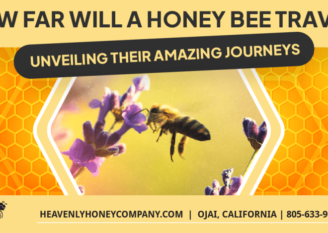 The Amazing Journeys of Bees: How Far Do They Travel From Their Hive?