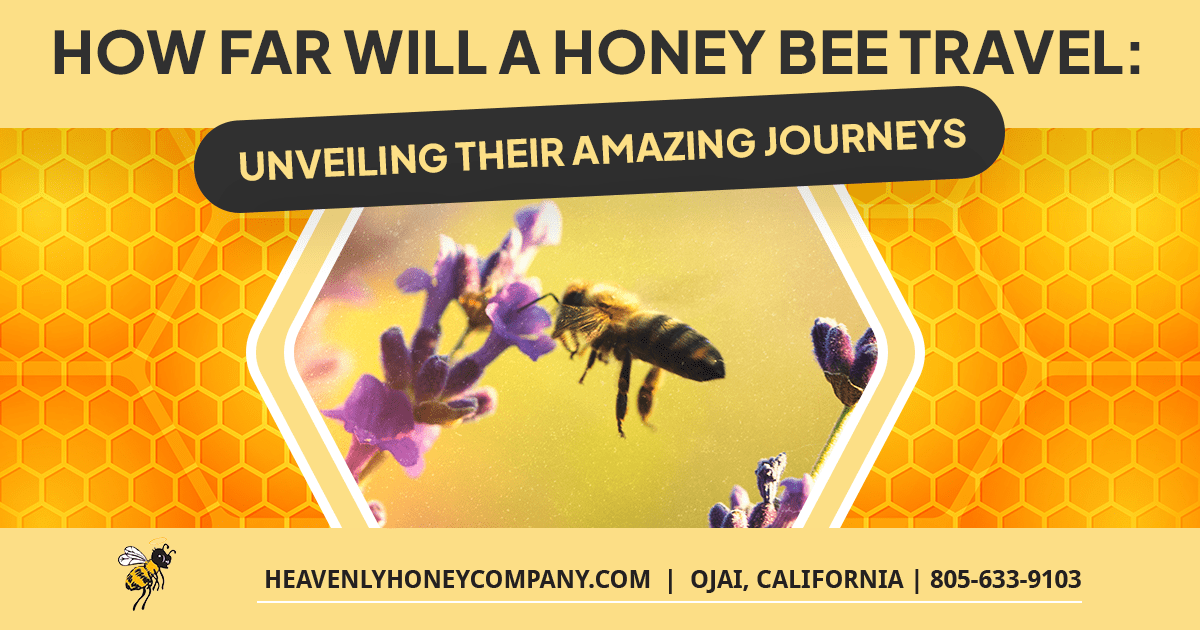 The Amazing Journeys of Bees: How Far Do They Travel From Their Hive?