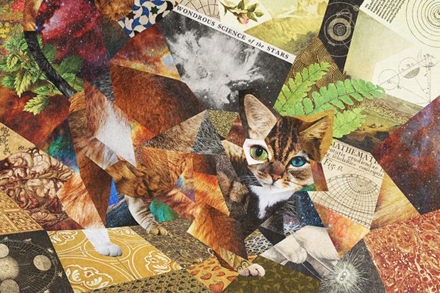 The Astonishing Intelligence of Cats: Unlocking Their Cognitive World