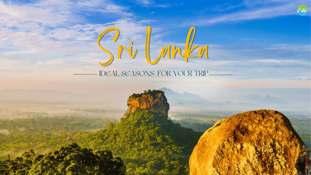 When is the Best Time to Visit Sri Lanka? Your Ultimate Travel Guide