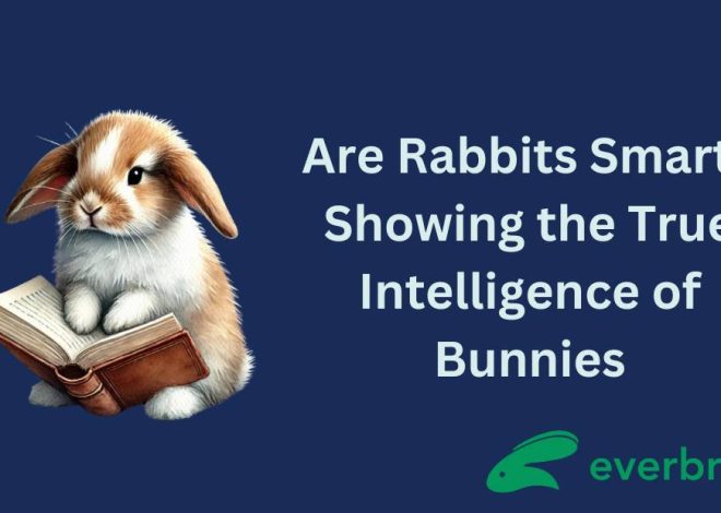 Are Rabbits Smart? Unveiling the Cognitive Abilities of Your Lagomorph Friends