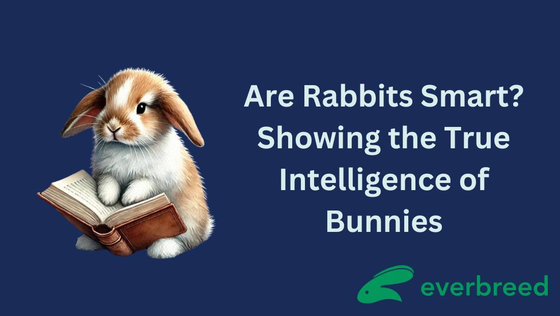 Are Rabbits Smart? Unveiling the Cognitive Abilities of Your Lagomorph Friends