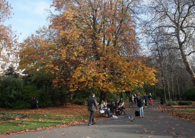 Omega Block Ireland: Preparing for Dry Weather