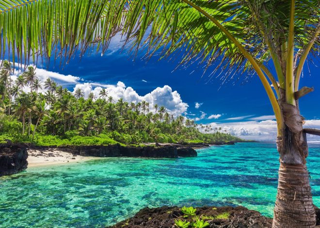 Samoa vs. Oman: A Cricket Showdown Preview